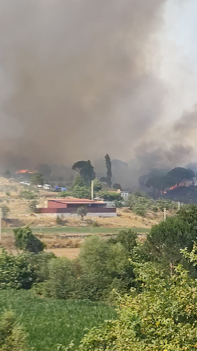 Muğla alevlere teslim oldu, 3 ilçede peş peşe orman yangını çıktı
