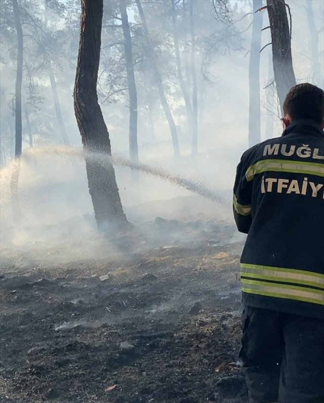 Muğla alevlere teslim oldu, 3 ilçede peş peşe orman yangını çıktı