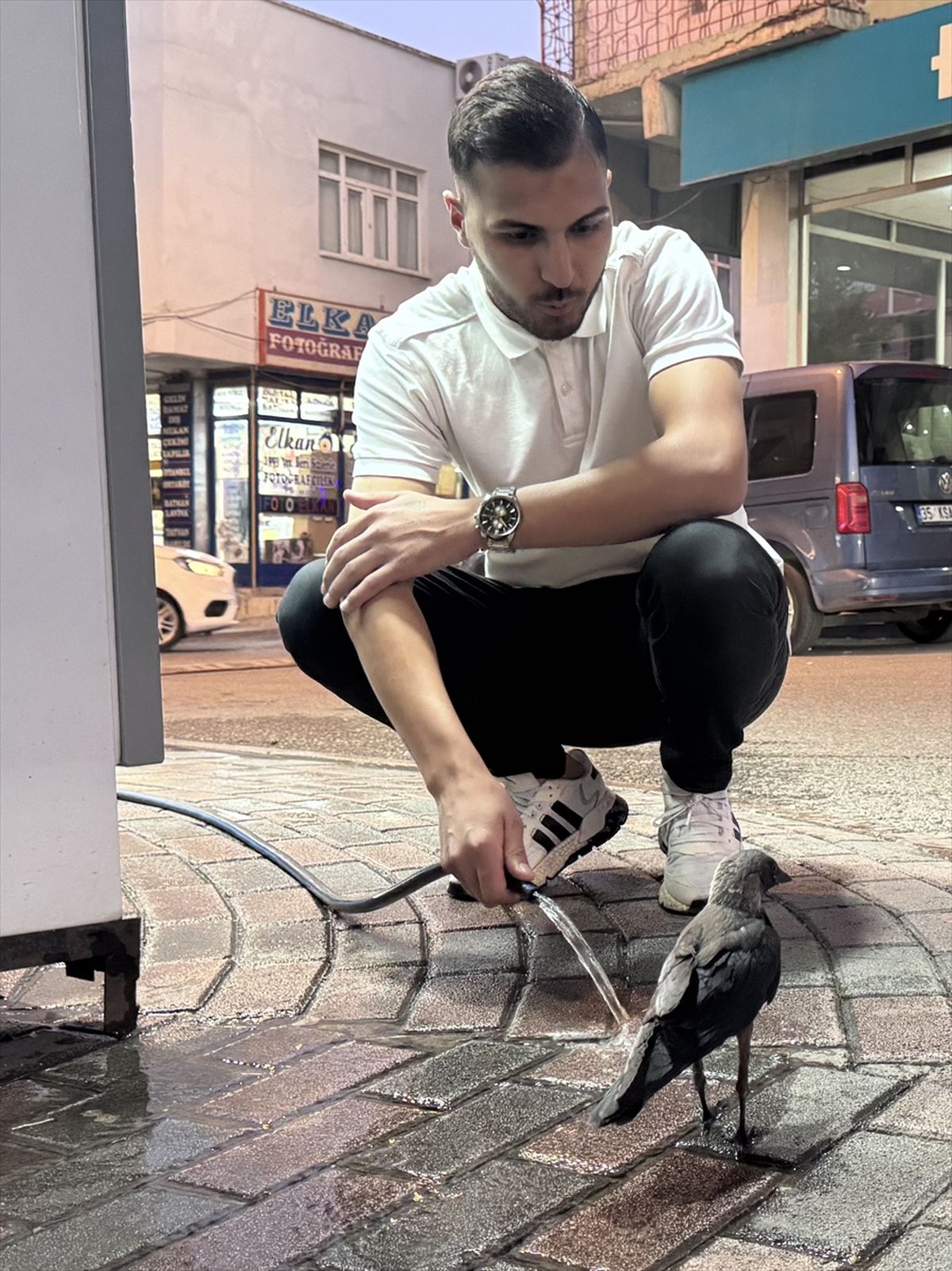 Susuz Kargaya Yardım