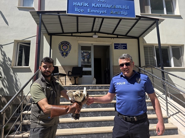 Yaralı Kartal Yavrusu Koruma Altında