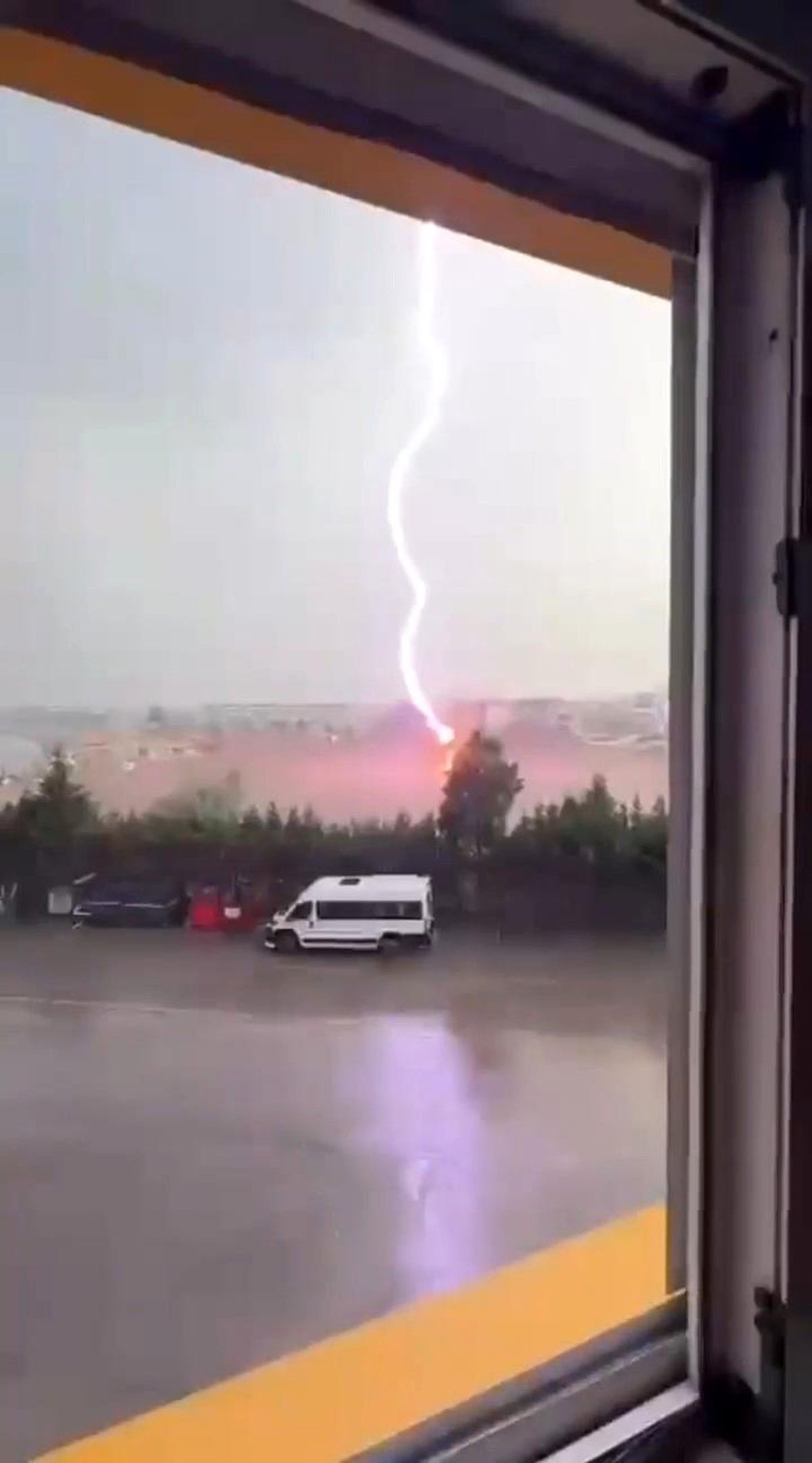 Tekirdağ\'da Palmiye Ağacına Yıldırım Düştü