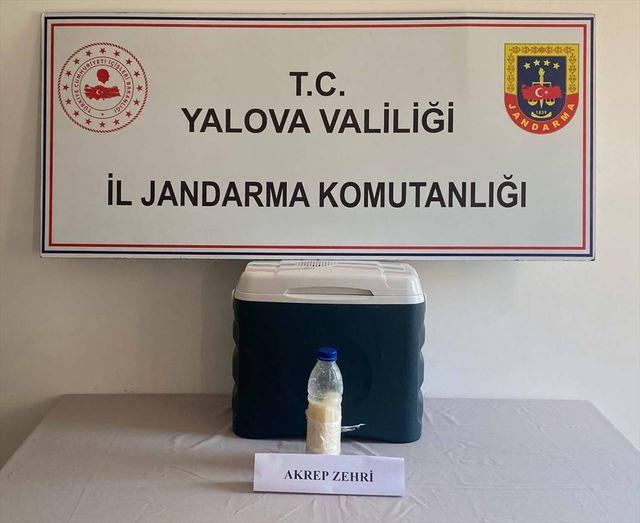 Yalova'da pet şişe içerisinde bulundu! Değeri tam 5 milyon dolar