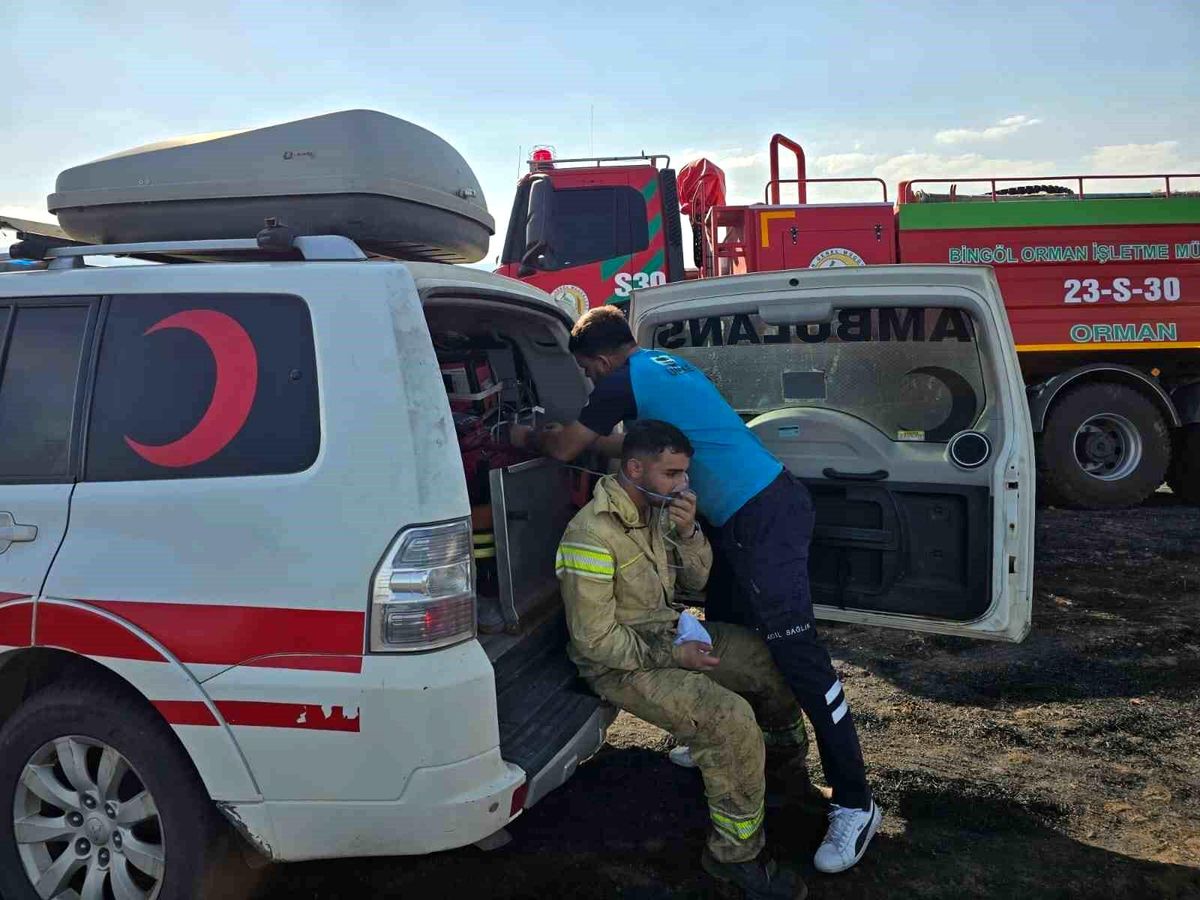 Bingöl\'de Arazi Yangını: 4 Personel Dumandan Etkilendi