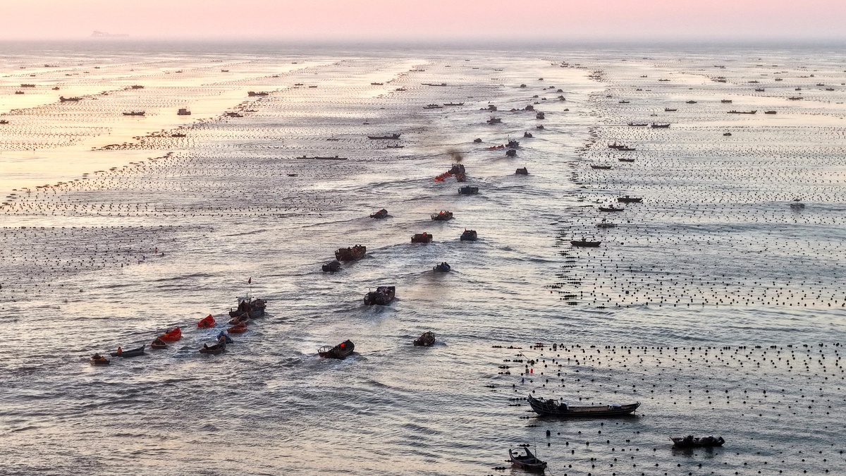 Shandong\'da Deniz Çiftlikleri Yeniden Faaliyette