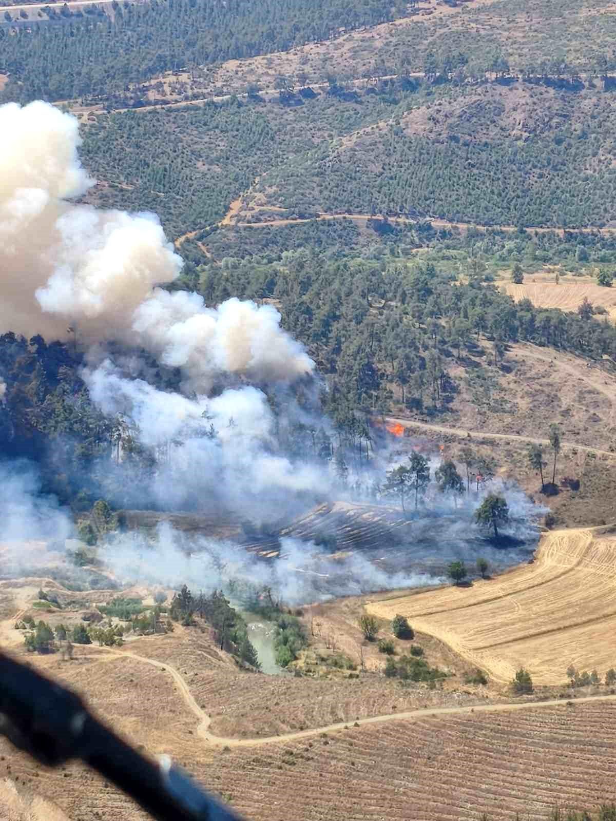 Bursa\'da otluk alanda çıkan yangın ormana sıçradı