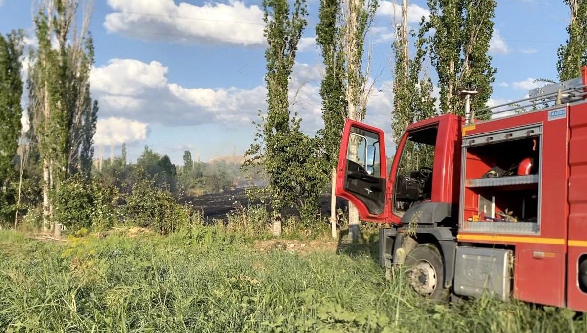 Çorum\'da Orman Yangını Çıktı