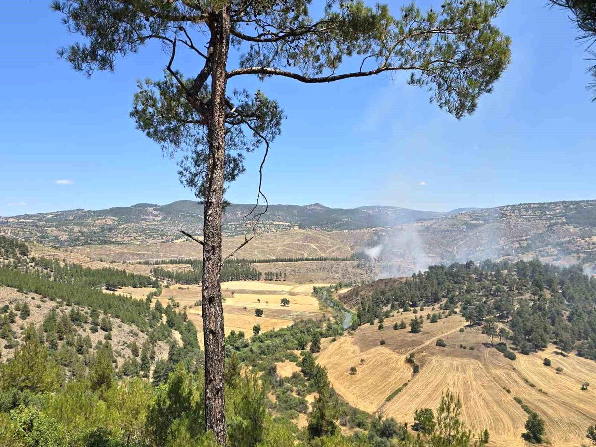 Balıkesir\'de orman yangını: Adaören\'de alevlere müdahale sürüyor
