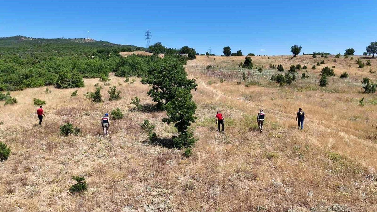 Tunceli\'de Gülistan Doku Aramaları Devam Ediyor