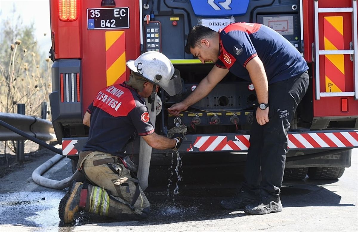 İzmir\'de Bukalemun Yangından Kurtarıldı
