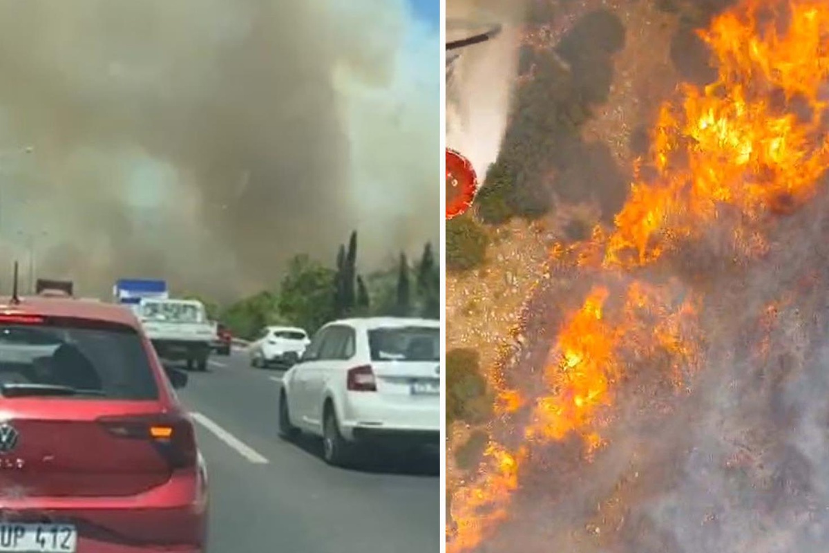 Manisa\'nın Akhisar ilçesinde ormanlık alanda yangın
