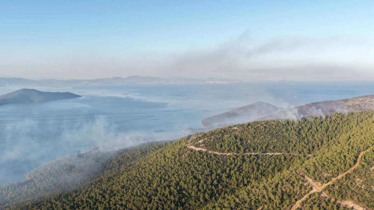 Muğla\'da Orman Yangını 2. Güne Girdi