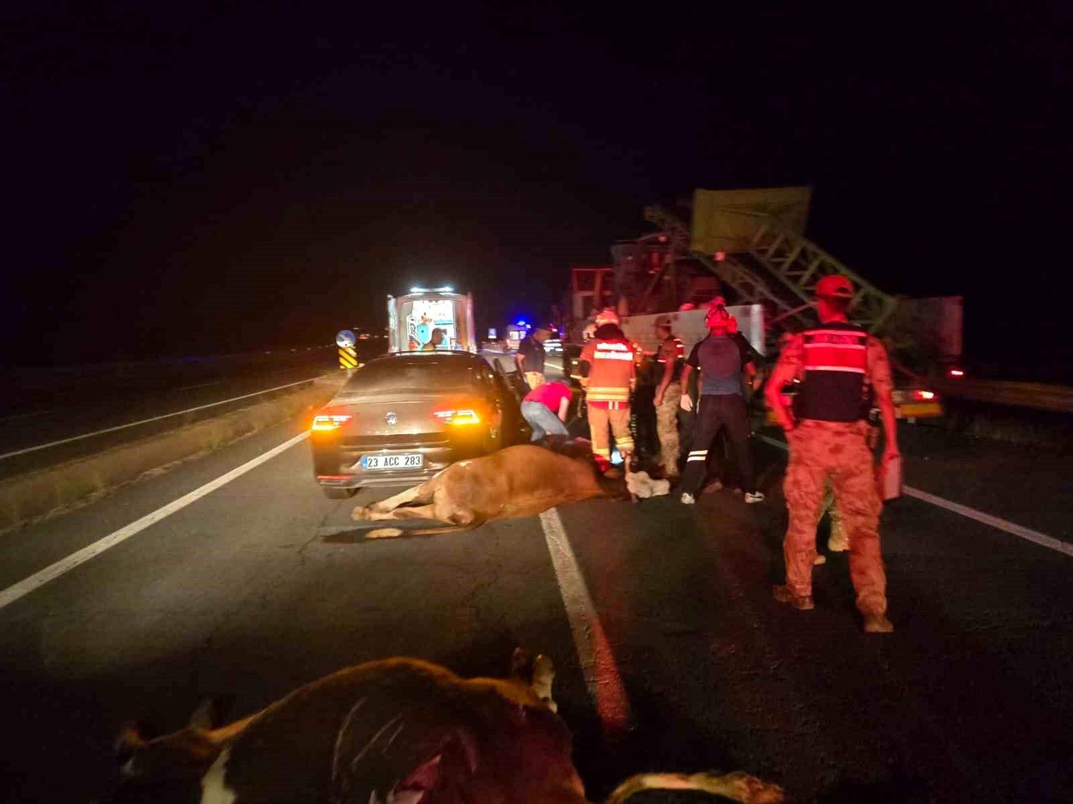 Bingöl\'de Trafik Kazası: 2 Yaralı