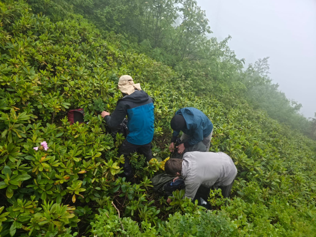 Rize'de doğa yürüyüşünde kaybolan 3 Rus turist kurtarıldı