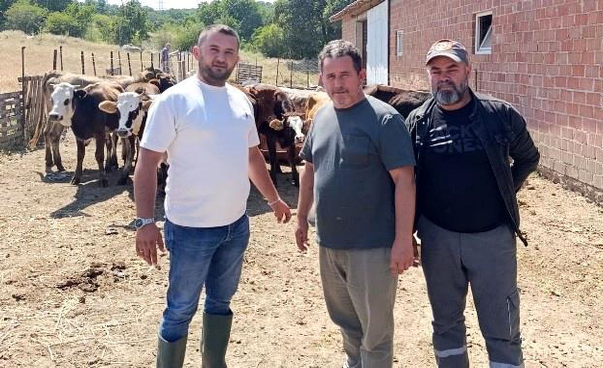 Tunçbilek\'te daha sağlıklı hayvancılık için ilaçlama yapıldı
