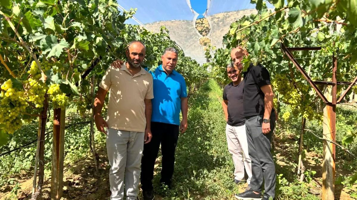 Manisa\'da Üzüm Hasat Ziyareti