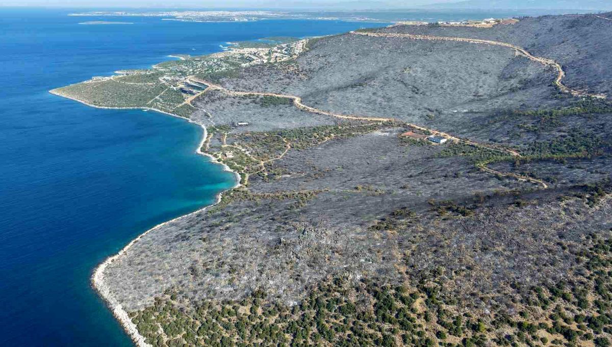 Muğla\'daki Orman Yangını Kontrol Altında