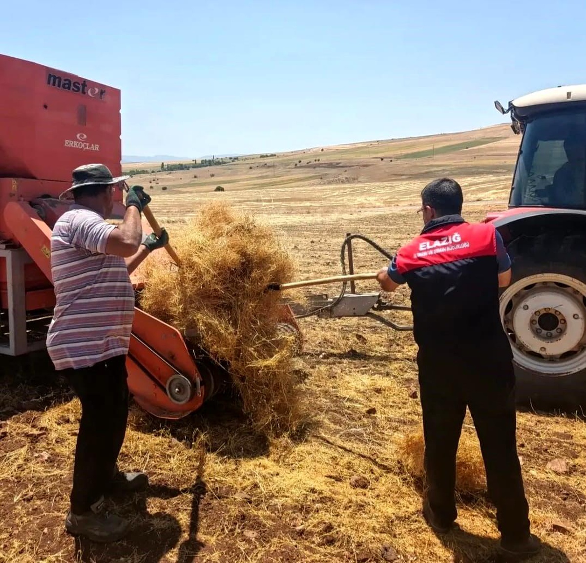 Elazığ\'da Mercimek Hasat Kontrolleri Başladı