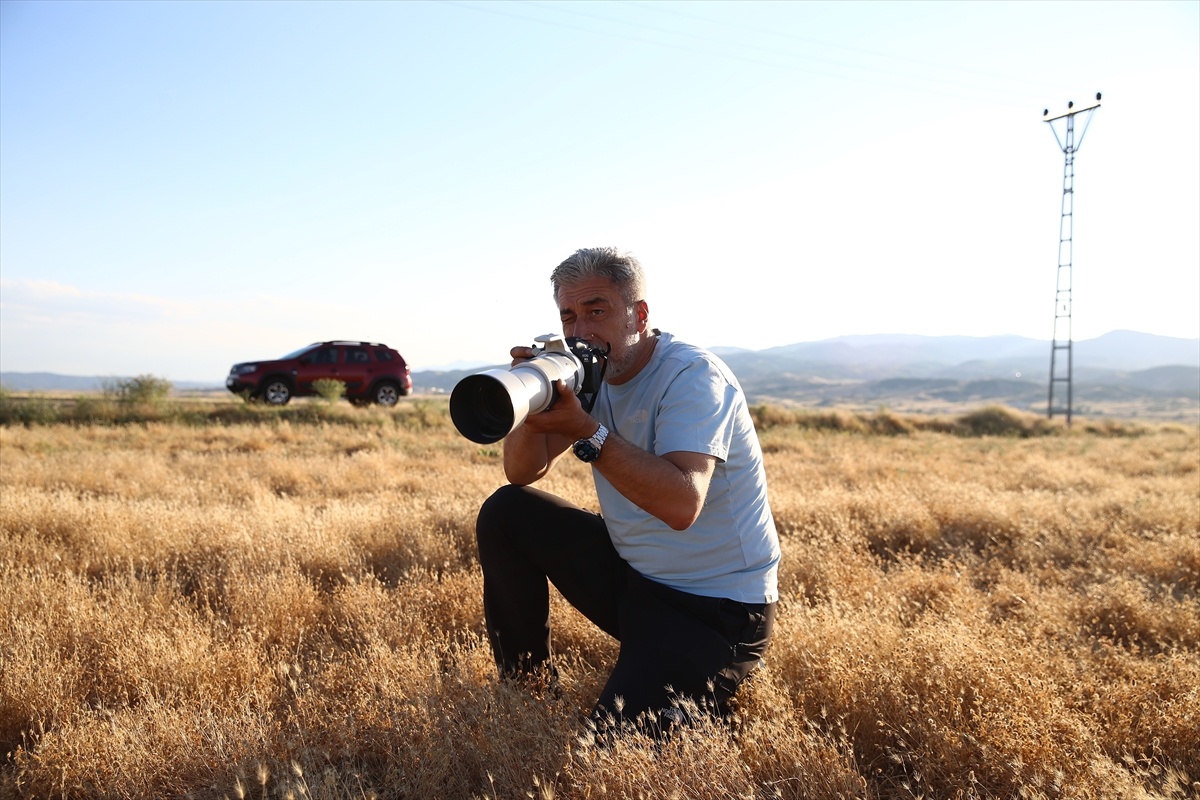 Öğretmenden Kuş Fotoğrafçılığı Başarısı