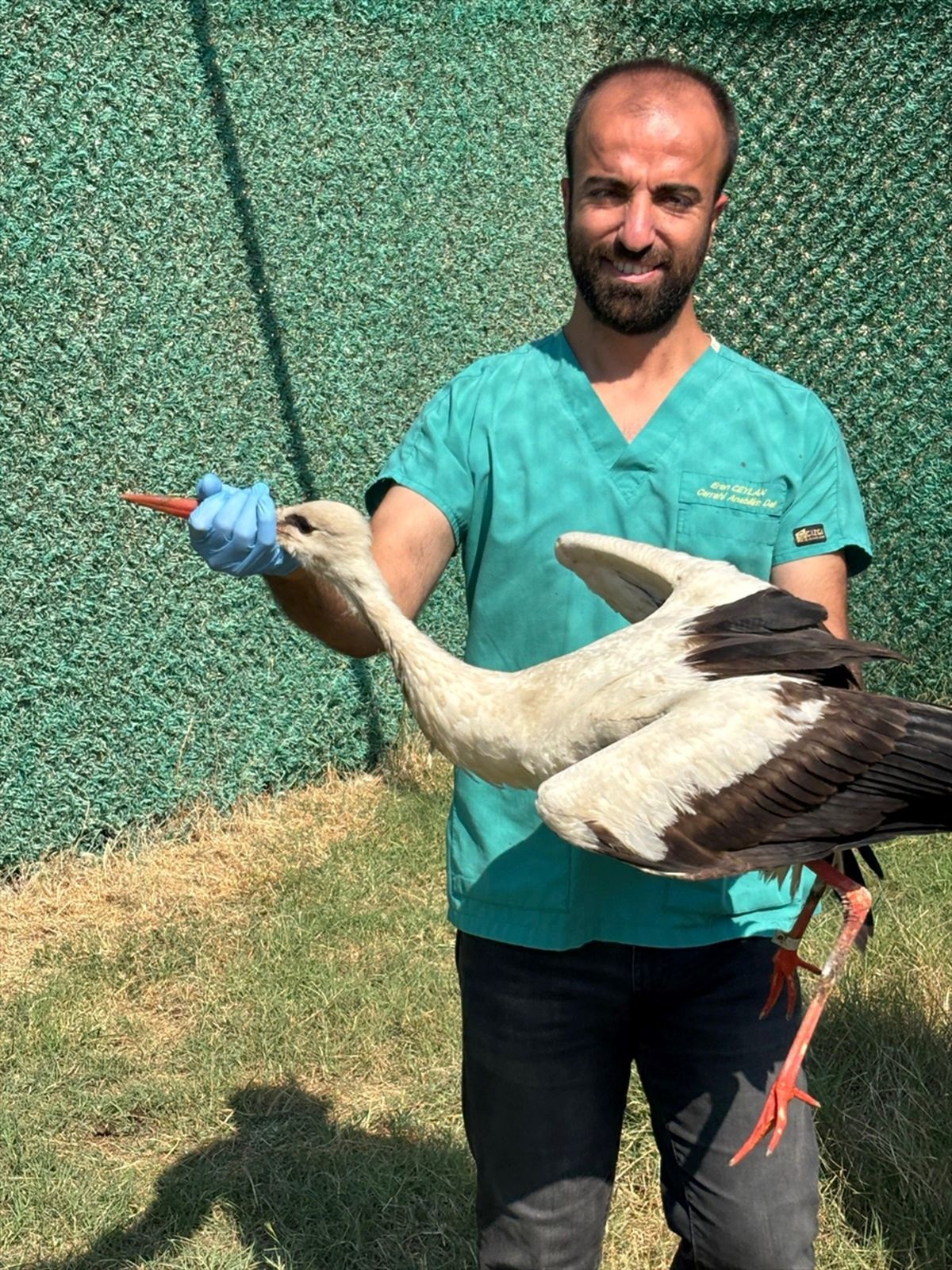 Hatay\'da Yaralı Kuşlar Doğaya Salındı