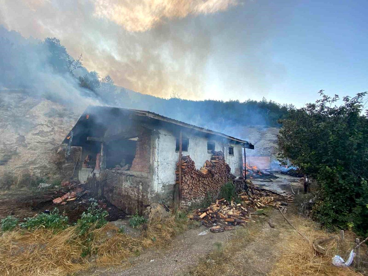 Kastamonu\'da Yangın Ormanlık Alana Sıçradı