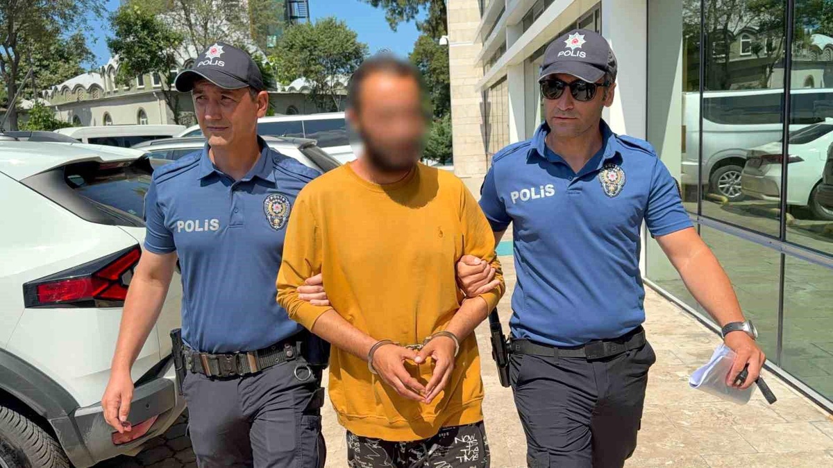 Kediye Tekme Atan Şahıs Tutuklandı