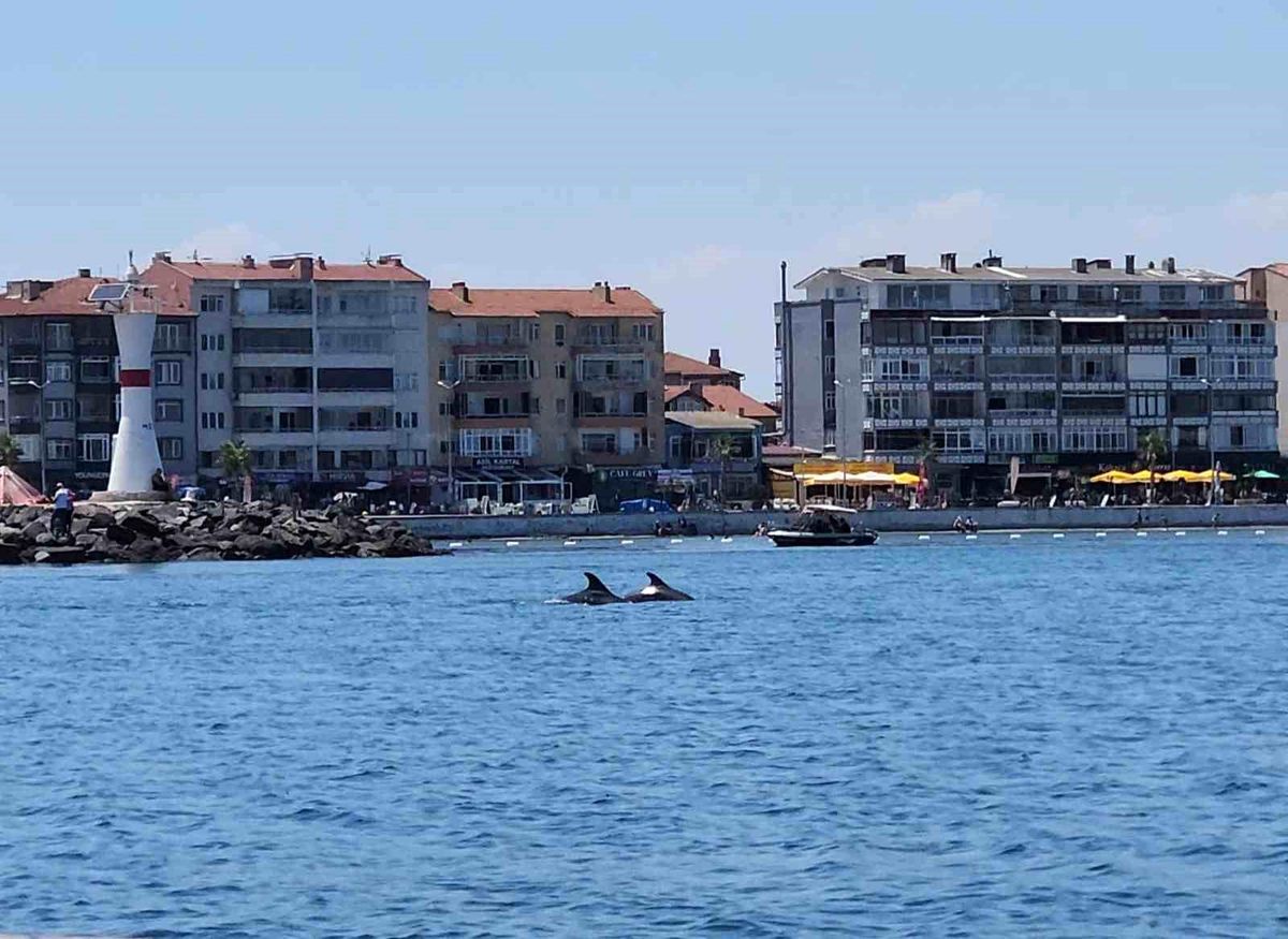 Tekirdağ\'da Yunus Şöleni