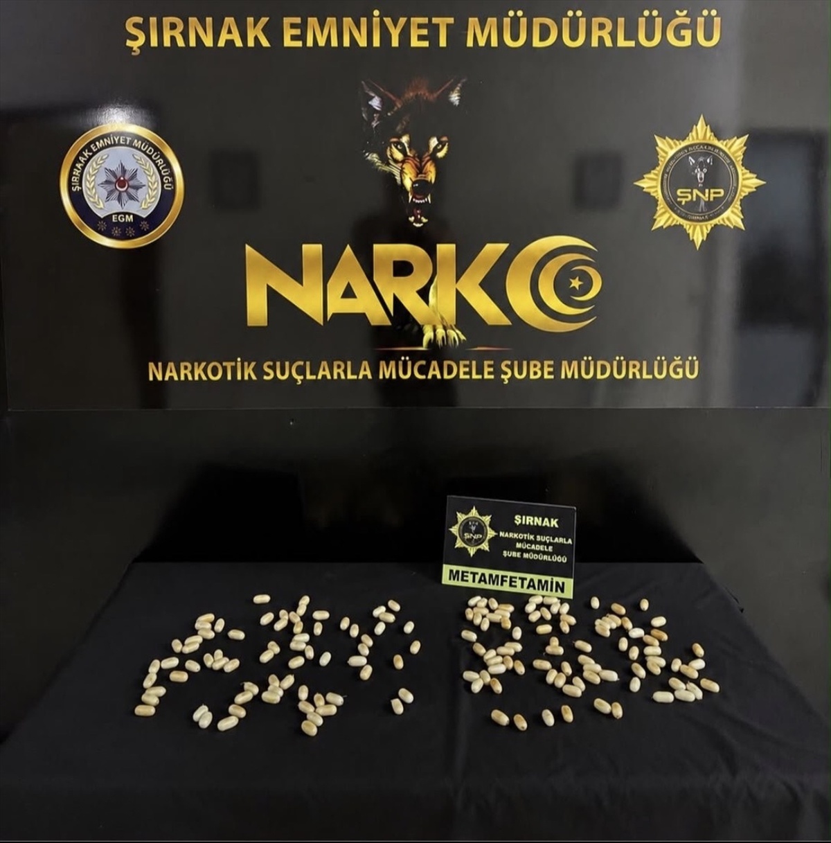 Uyuşturucu Kapsülleriyle İki İranlı Tutuklandı