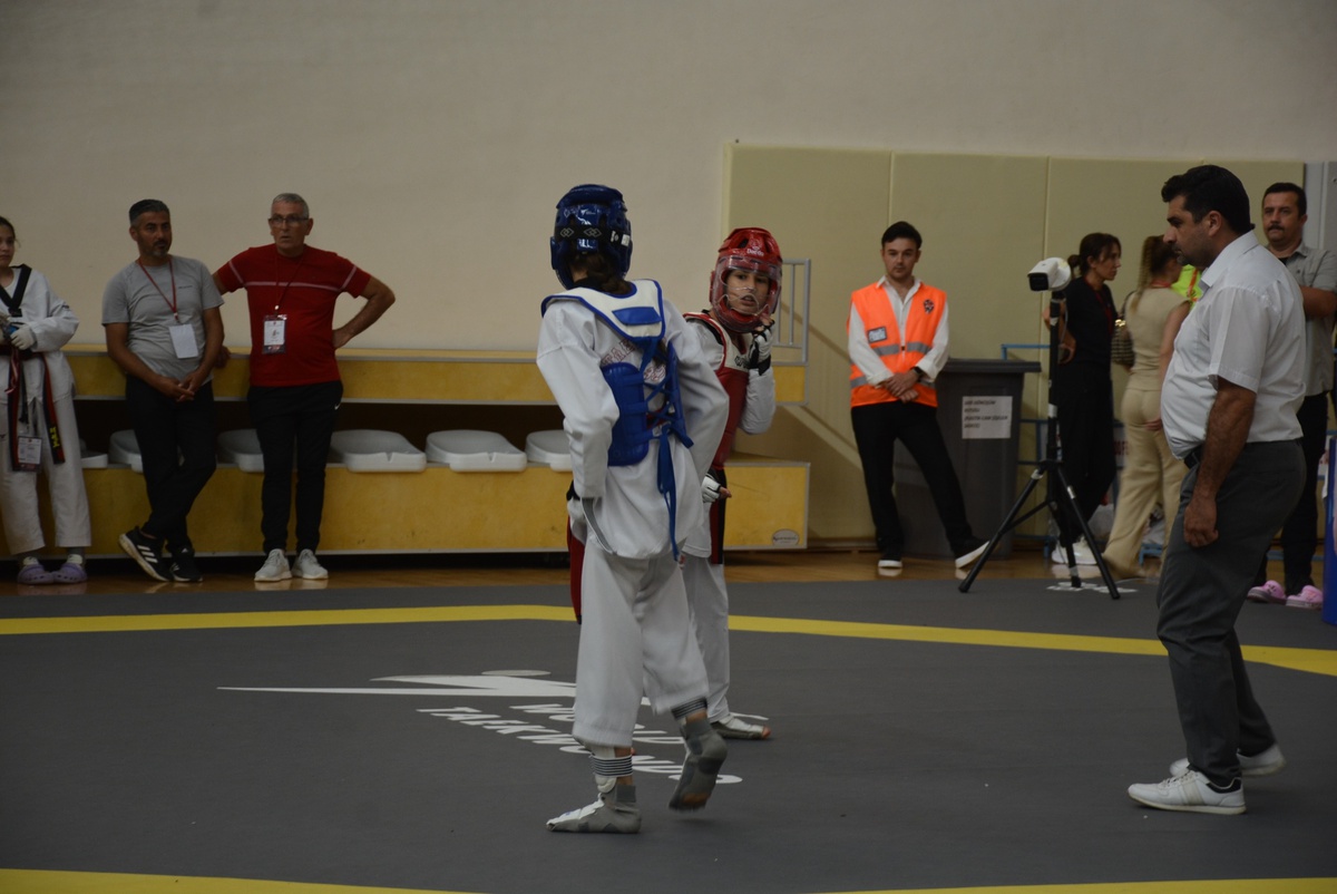 Sinop'ta Taekwondo Şampiyonası Açıldı