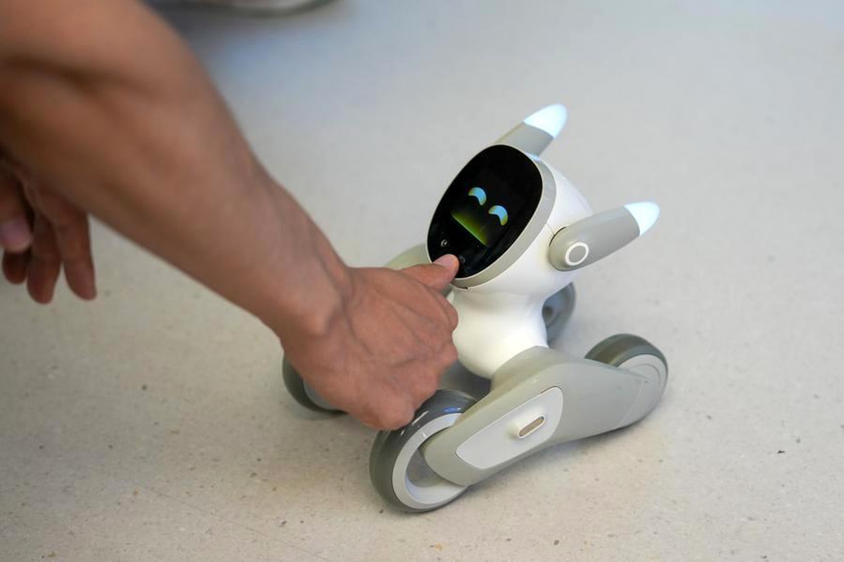 Chengdu\'da Robotik Ekosistemi Gelişiyor