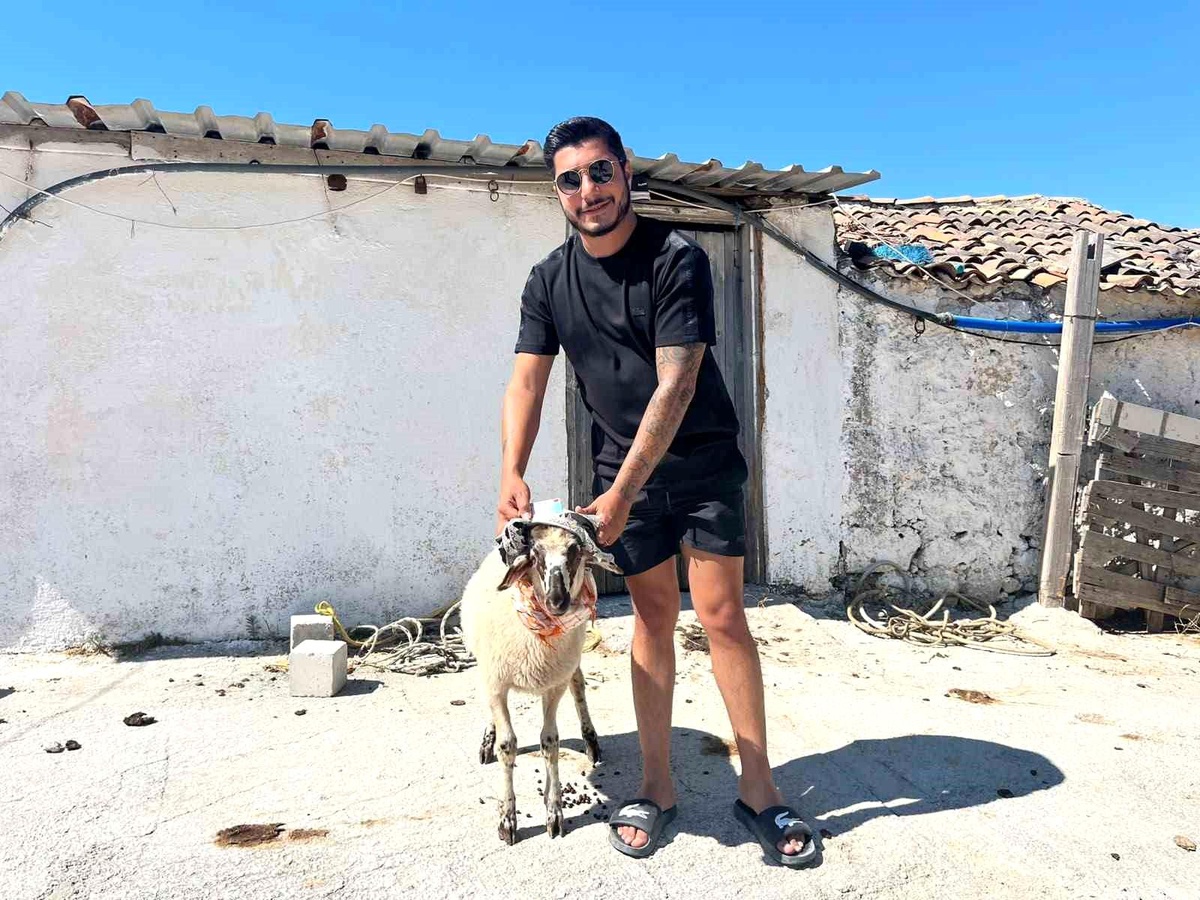 Kaza Sonrası Ehliyetine Kavuşan Galerici Kurban Kesti