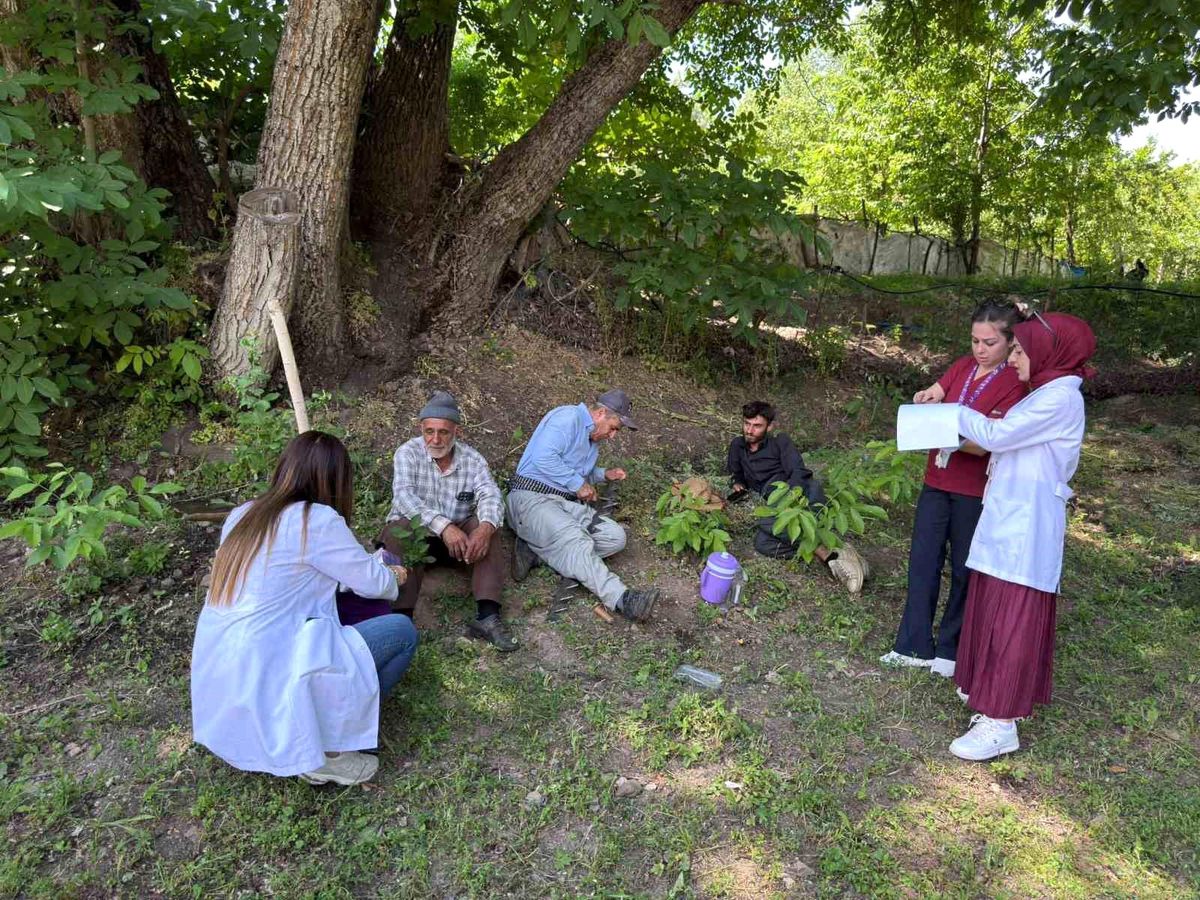 Hakkari\'de Mobil Kanser Taraması