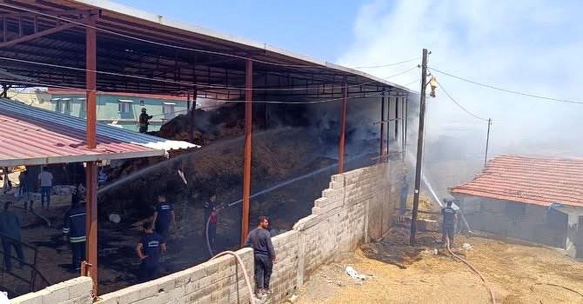 Hatay\'da Yangın: 3 Buzağı Telef Oldu
