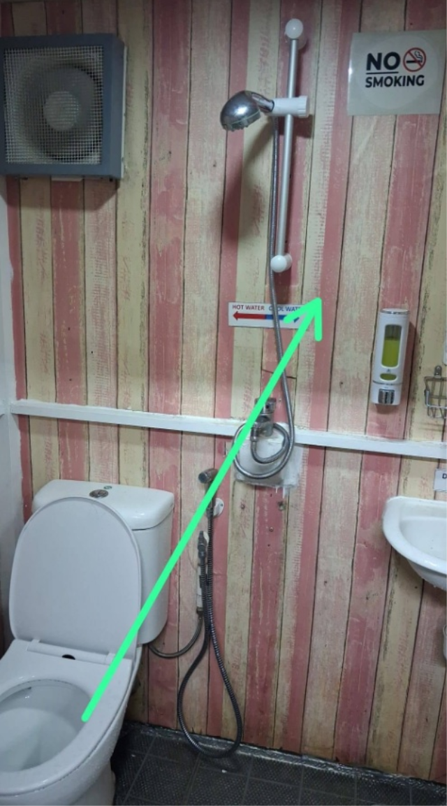 Mide bulandıran görüntü! Genç kadın tuvalete girince fark etti