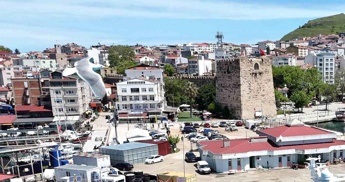 Sinop\'ta Araç Sayısı 87 Bini Aştı