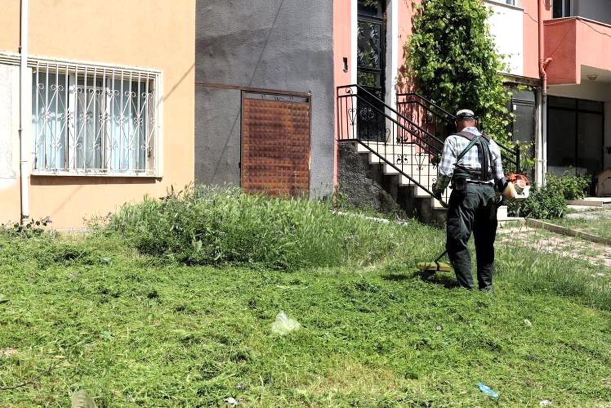 Söğüt\'te çim biçme ve ilaçlama çalışmaları aralıksız devam ediyor