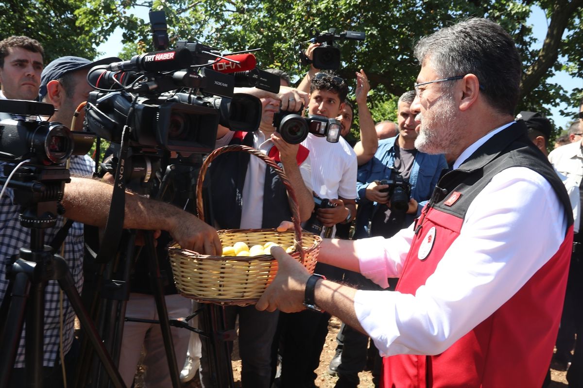 Bakan Yumaklı: Kayısıda dünya birincisiyiz