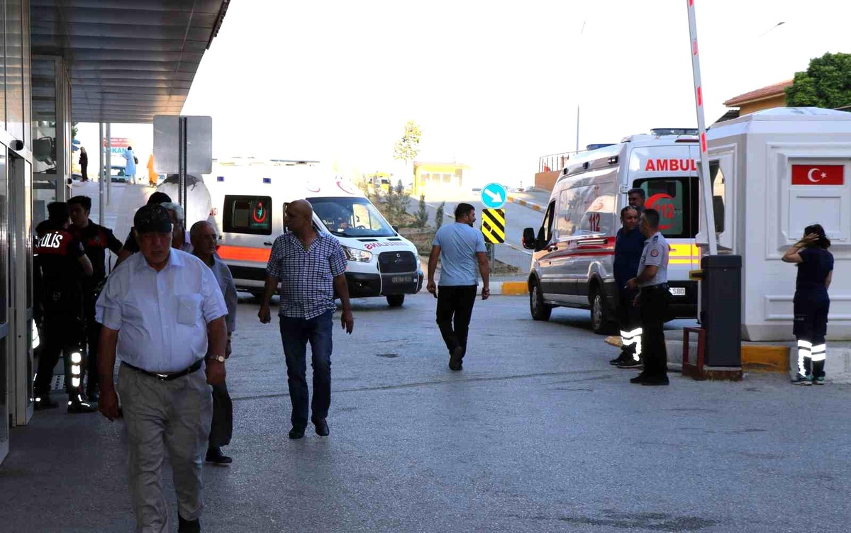 Arı Sokmaları Ölüme Yol Açabilir