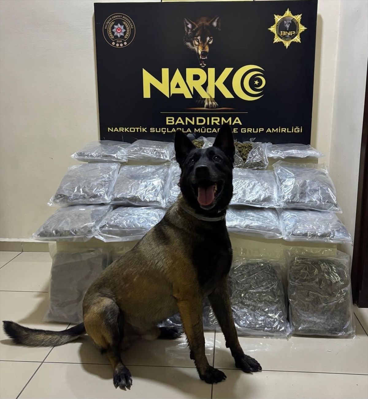 Bandırma\'da Uyuşturucu Operasyonu: 11 Kilo Skunk Ele Geçirildi