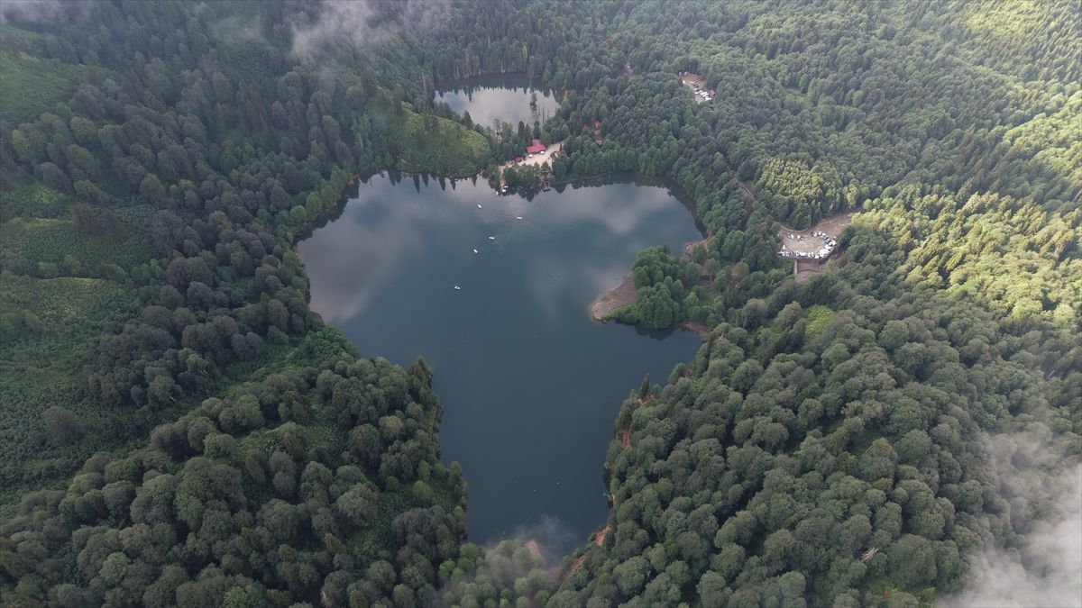 Karagöl Tabiat Parkı\'nda Ziyaretçi Yoğunluğu