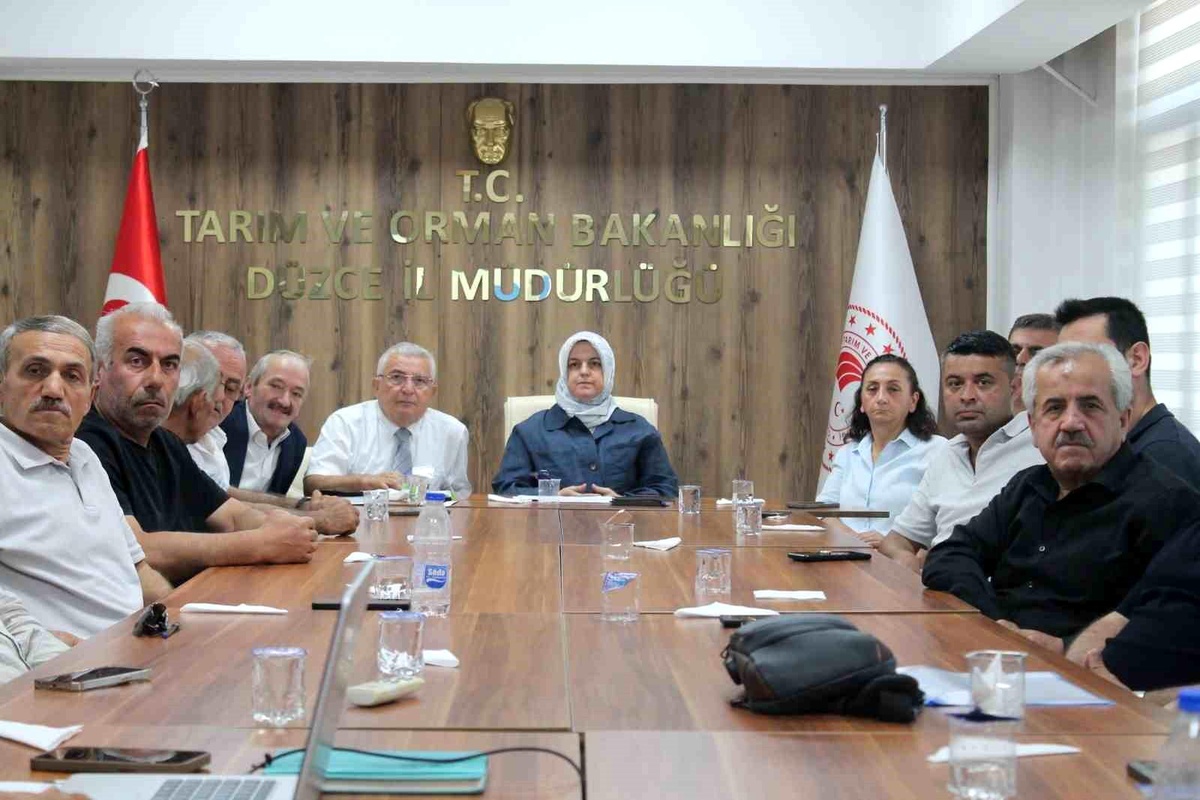 Düzce\'de Fındık Rekolte Tahmini Toplantısı
