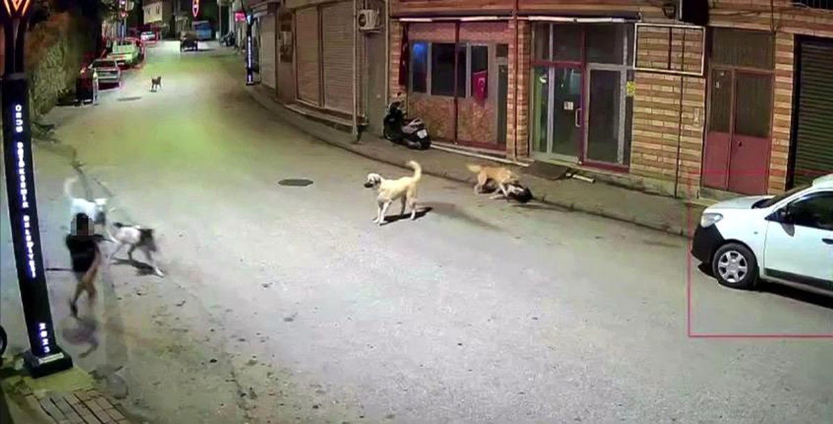 Çocuk Scooter ile Saldırıya Uğradı
