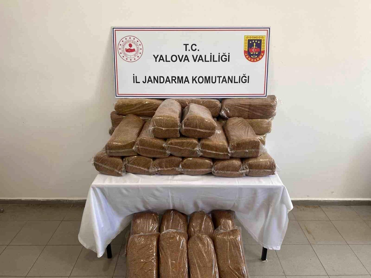 Yalova\'da Kaçak Tütün Operasyonu