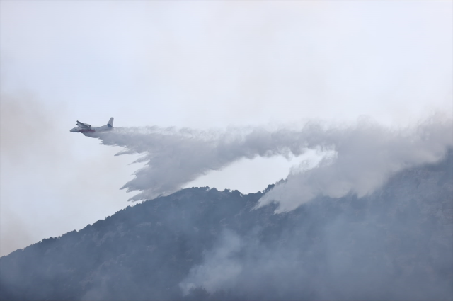 Antalya'da ormanlık alanda çıkan yangına müdahale ediliyor
