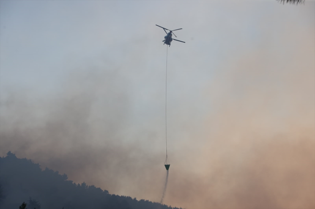 Antalya'da ormanlık alanda çıkan yangına müdahale ediliyor