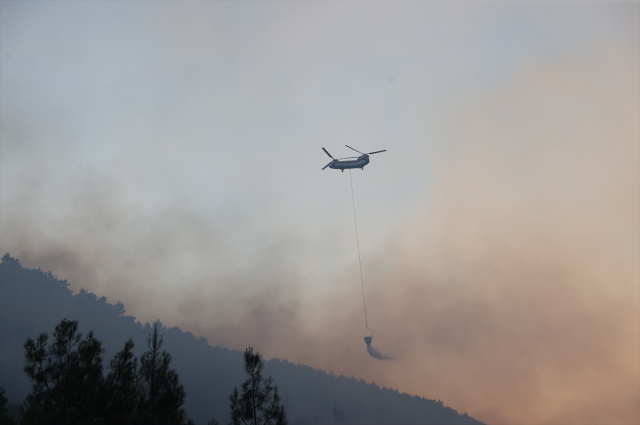 Antalya'da ormanlık alanda çıkan yangına müdahale ediliyor