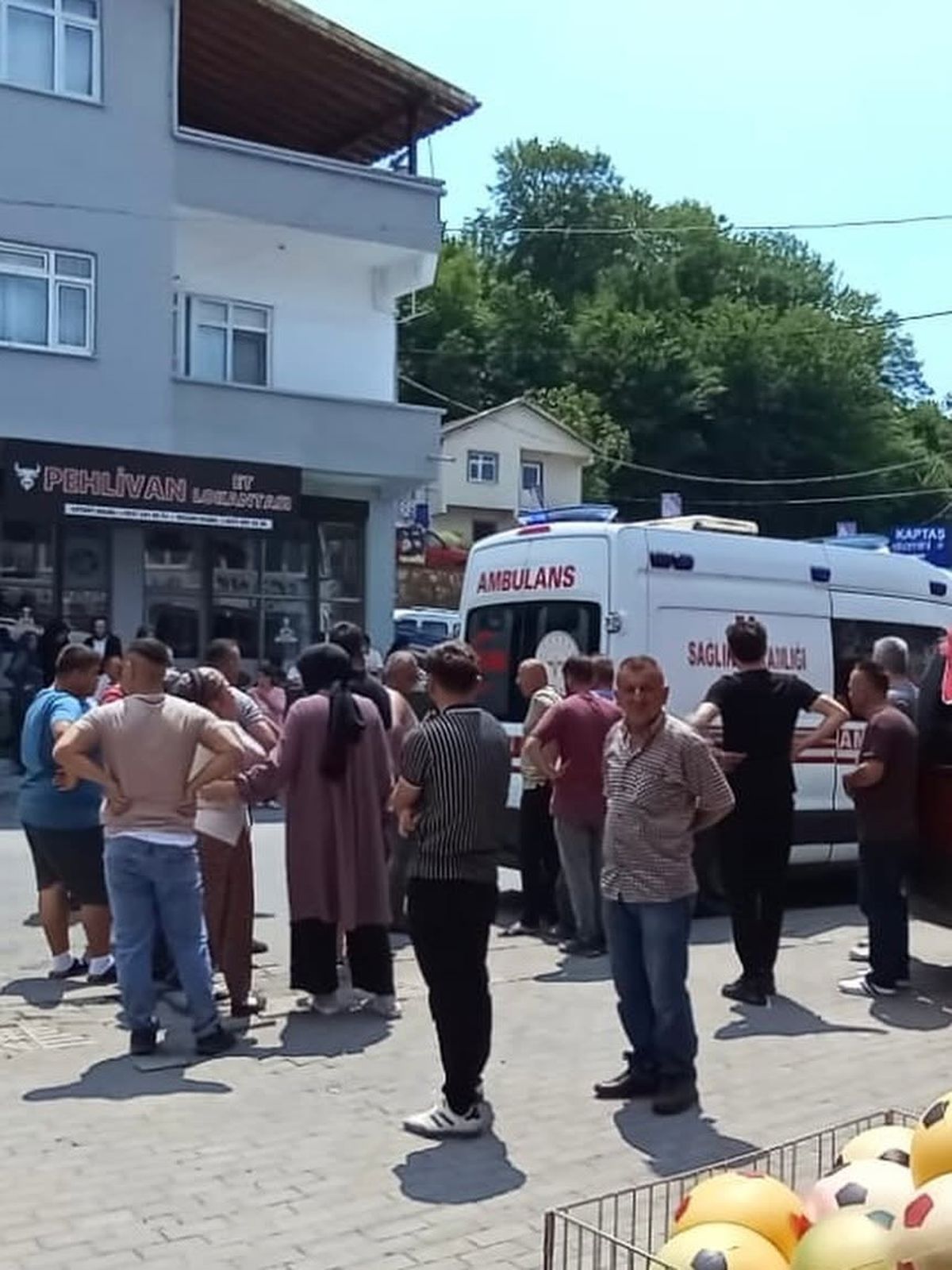 Ereğli\'de Eşek Arısı Sokması Can Aldı