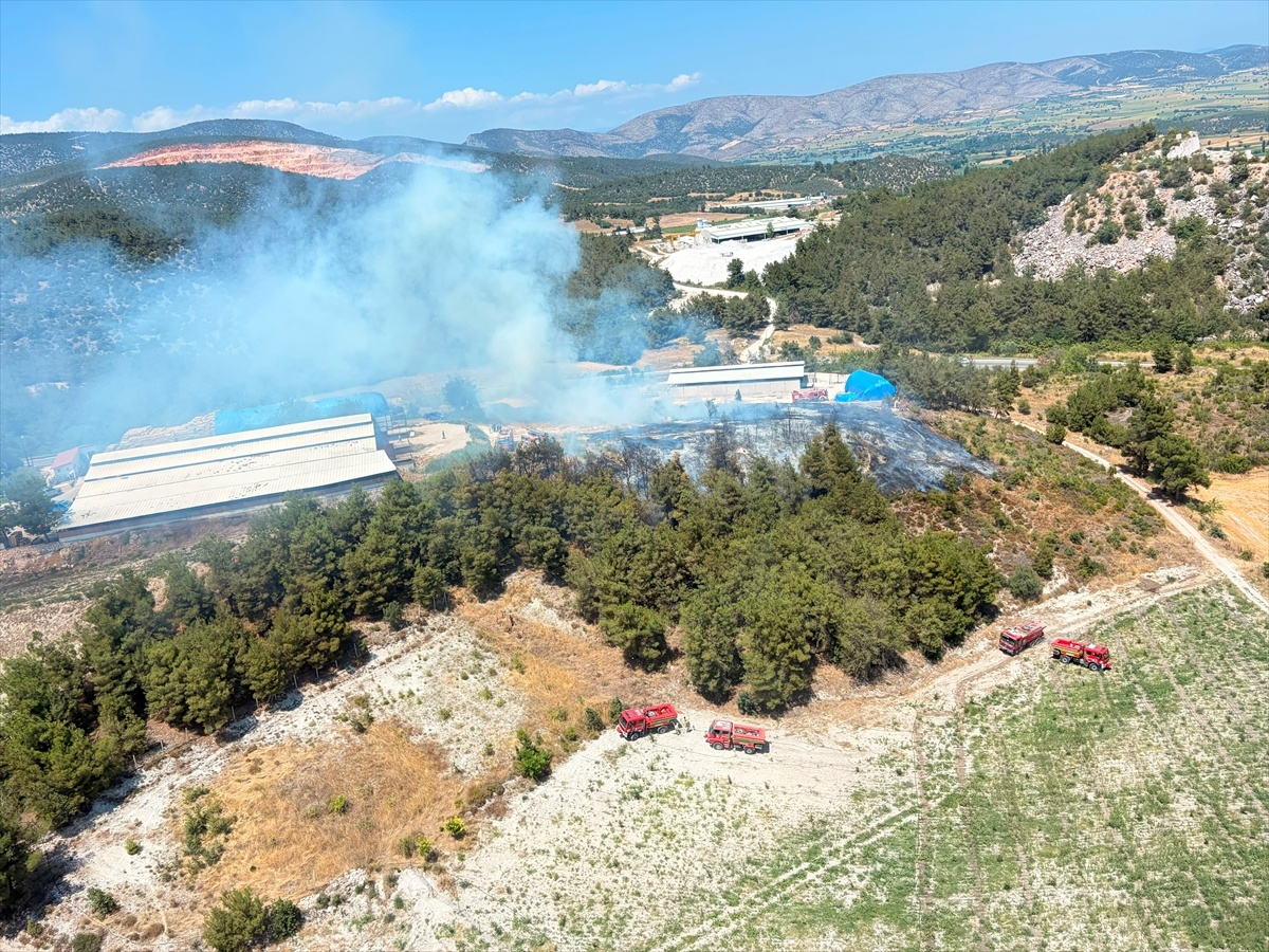Bilecik\'te Orman Yangını Kontrol Altına Alındı