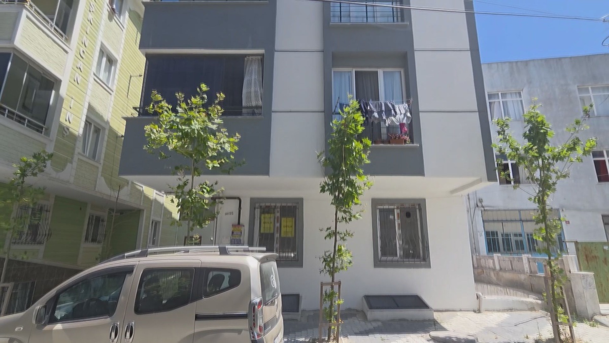 İstanbul\'da Çekirge Paniği