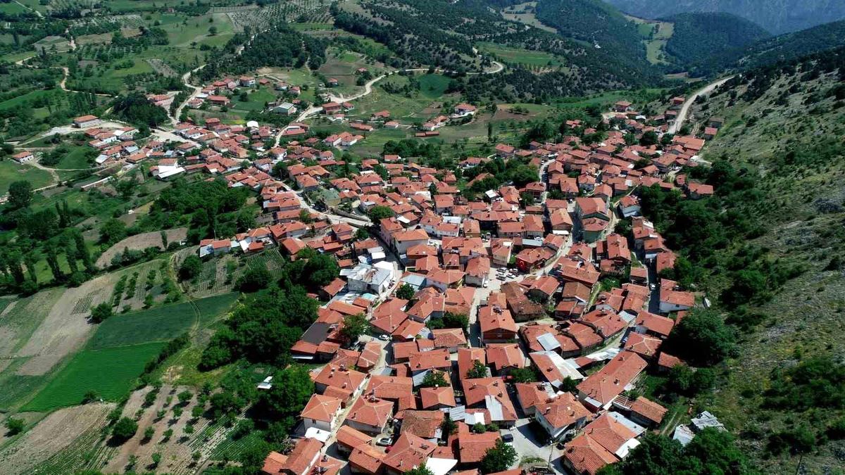 Sorgun Peyniri Coğrafi İşaret Aldı