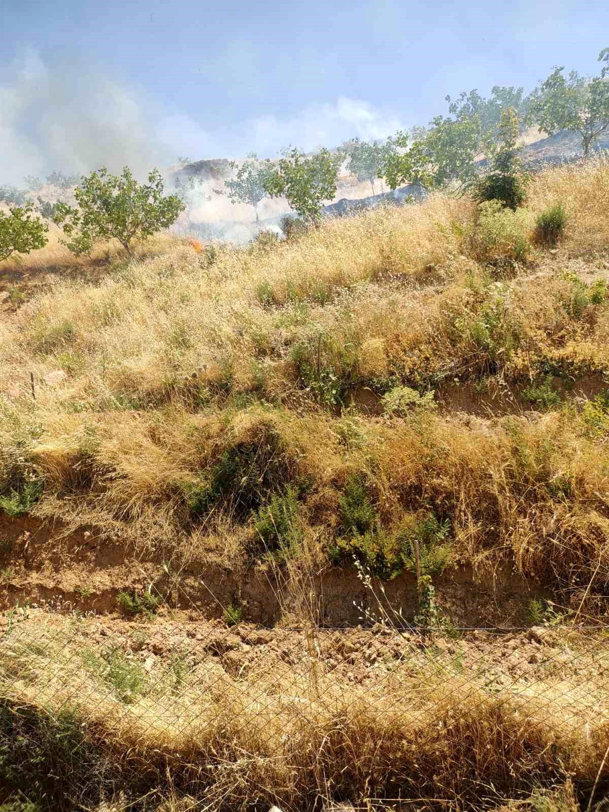 Kurtalan\'da fıstık bahçesinde çıkan yangında 95 ağaç kül oldu